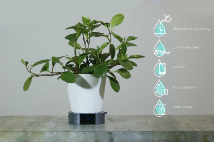 Flora: AI-enabled plant watering system