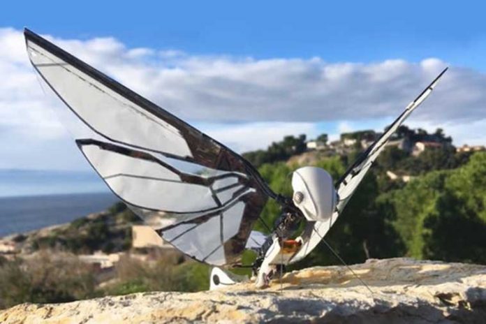 MetaFly: An insect-inspired flying Robot