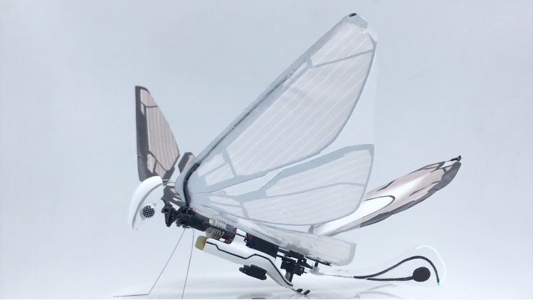 MetaFly: An insect-inspired flying Robot