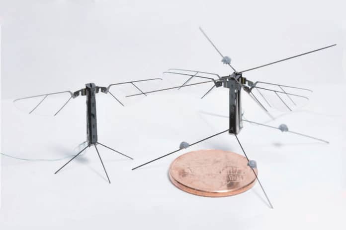 Bee+: A tiny four-winged robotic insect