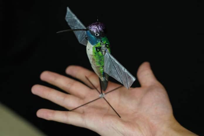 Purdue University researchers are building robotic hummingbirds that learn from computer simulations how to fly like a real hummingbird does. The robot is encased in a decorative shell. (Purdue University photo/Jared Pike)