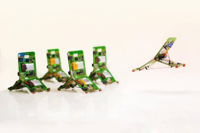 Robot-ants that can jump, communicate and work together./Image: EPFL