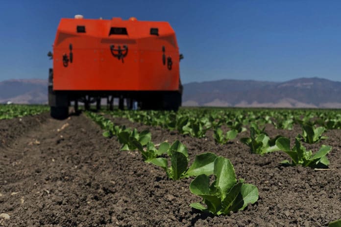 FarmWise' weed-pulling robots take care of each plant individually