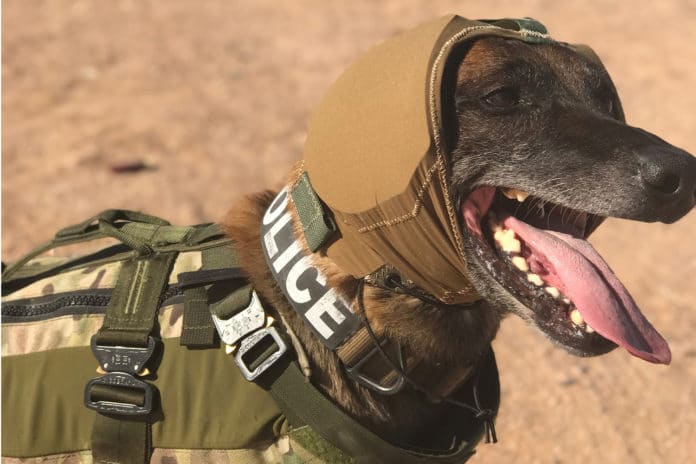 CAPS may prevent short-term hearing loss in military working dogs. Credit: Zeteo Tech