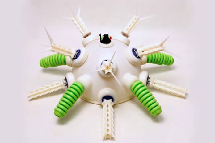 UrchinBot's body has five flexible tube feet (green structures) and ten rigid movable spines. Crdit: Wyss Institute at Harvard