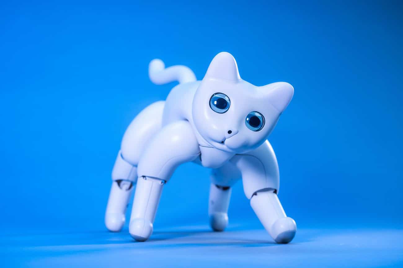 Meet MarsCat, an adorable robot cat for feline lovers