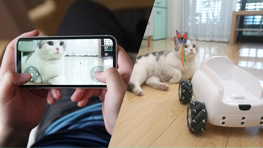 You can have direct real-time interactions with your pet even from a distance.