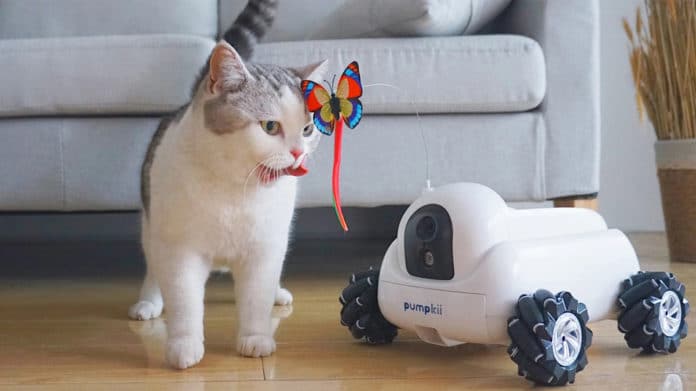 Pumpkii, a modular robot allows you to take care of your pet anytime.