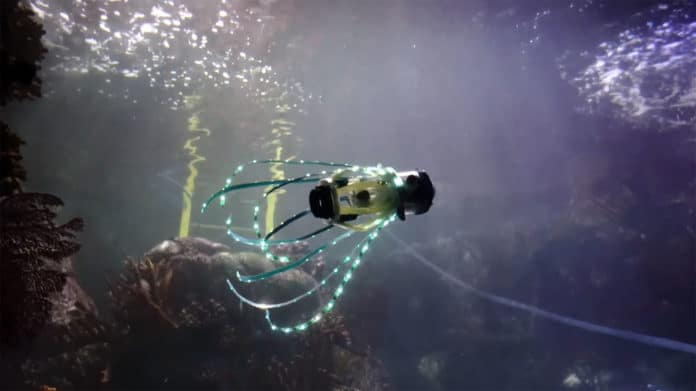 Engineers build an untethered squid robot for underwater exploration.