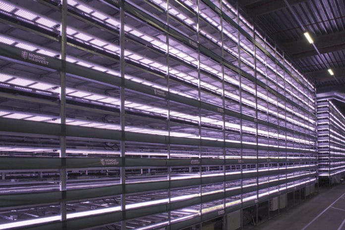 Giant vertical farm in Denmark will produce 1,000 metric tons of greens a year.