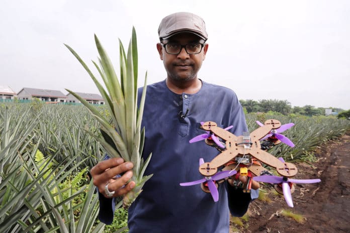 Researchers turn pineapple waste into disposable drone parts.