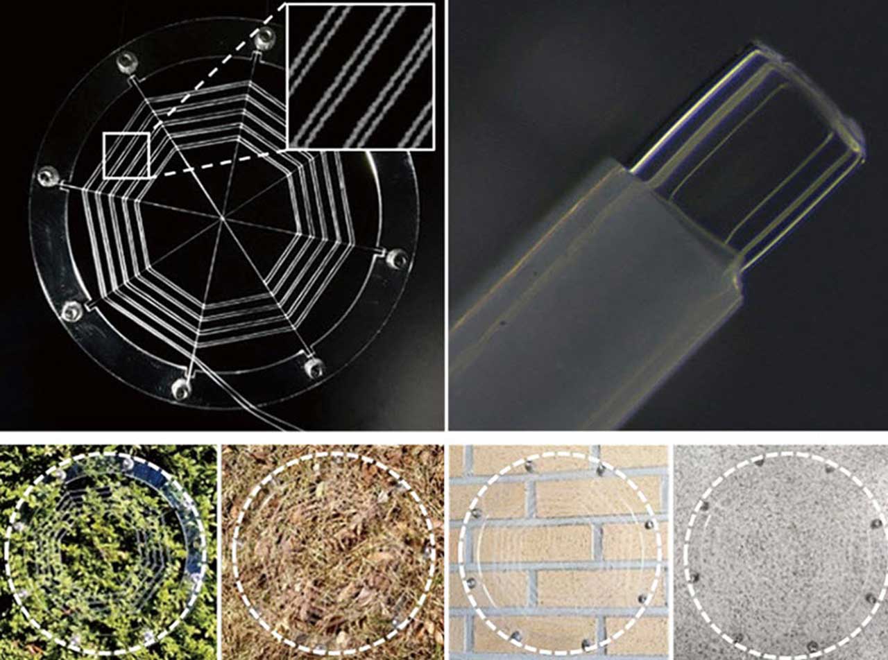 Ionic Spiderwebs