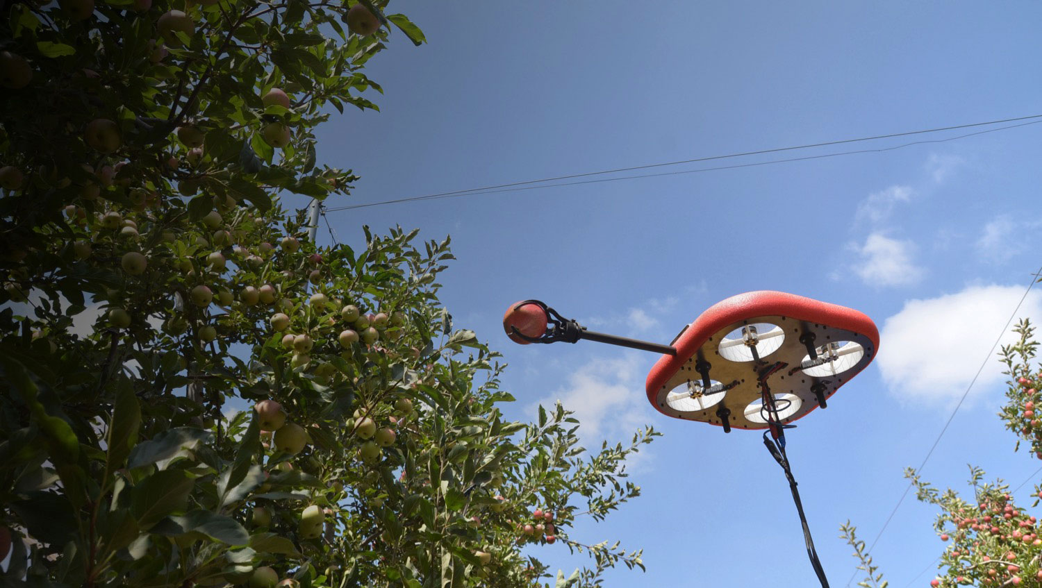Flying autonomous robot (FAR) can spot and pick ripe fruit.