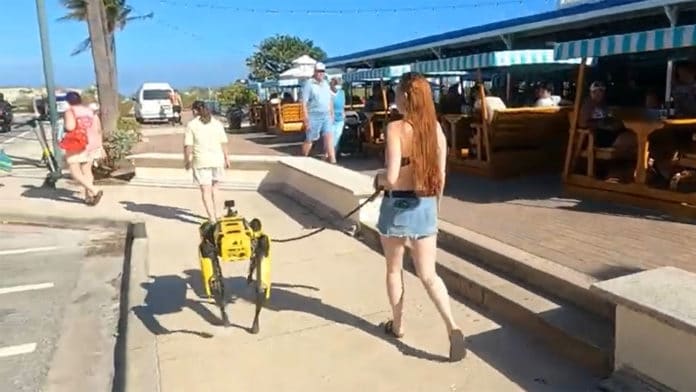 Scrappy the robot dog taking a walk along a Florida beach