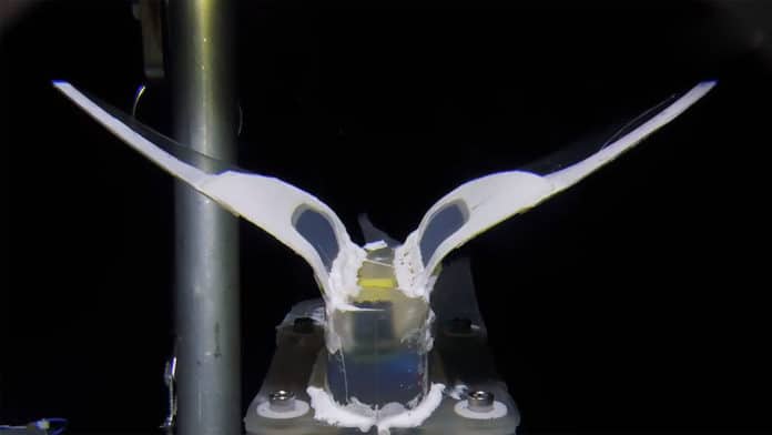 Self-powered soft robot for deep-sea exploration
