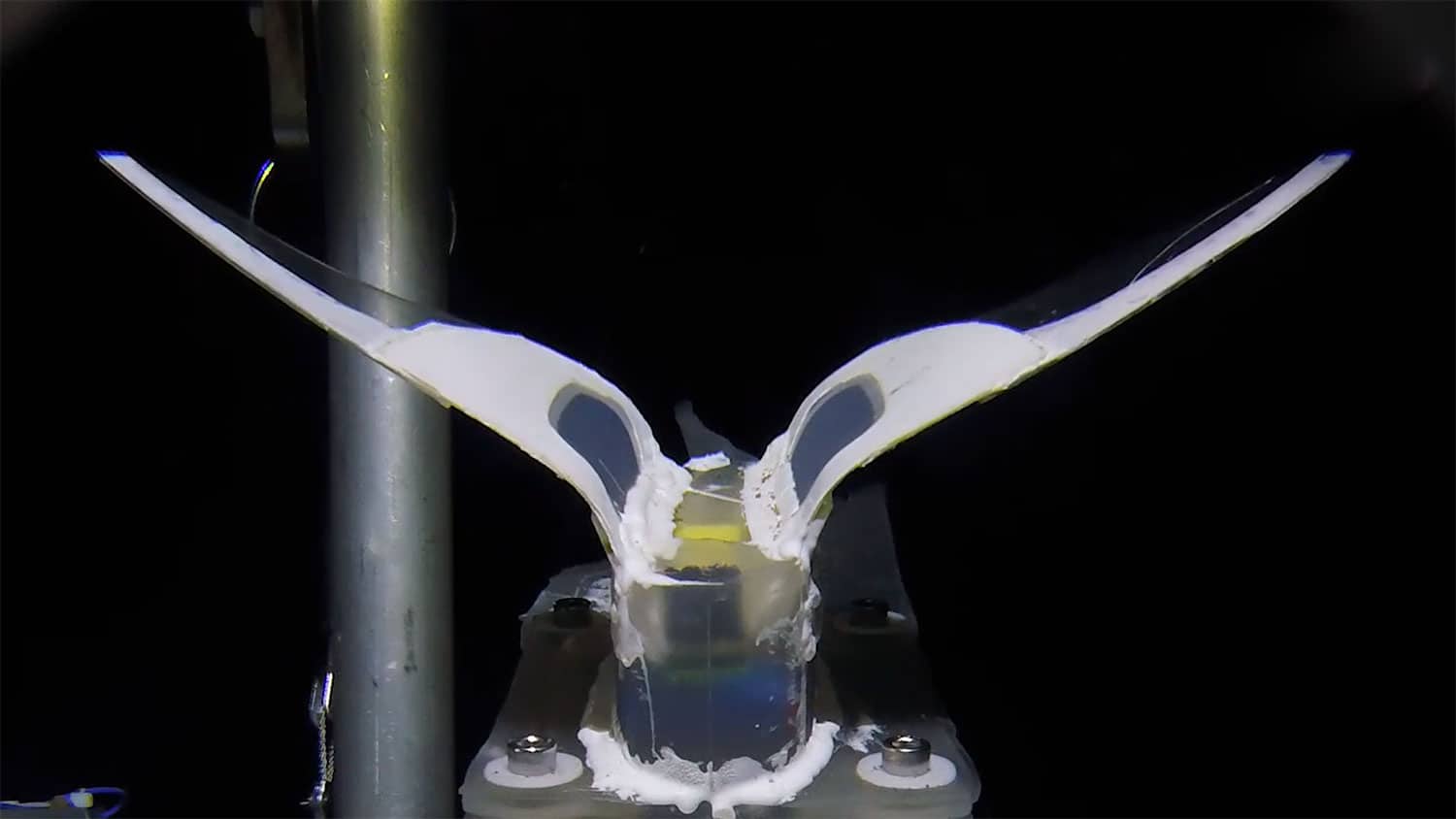 Fish-like, self-powered soft robot for deep-sea exploration
