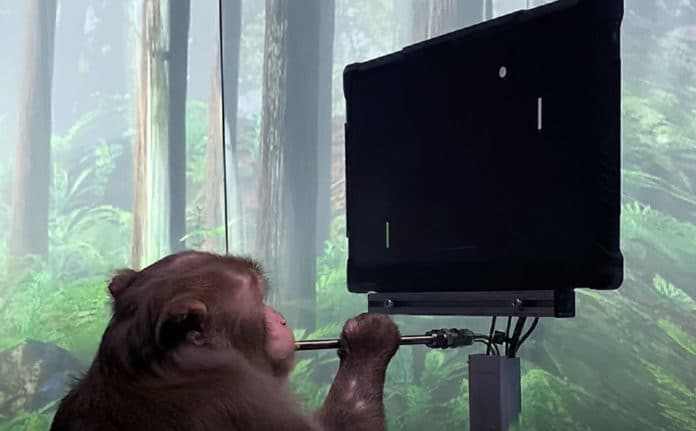 Elon Musk's Neuralink shows a monkey playing Pong with its mind