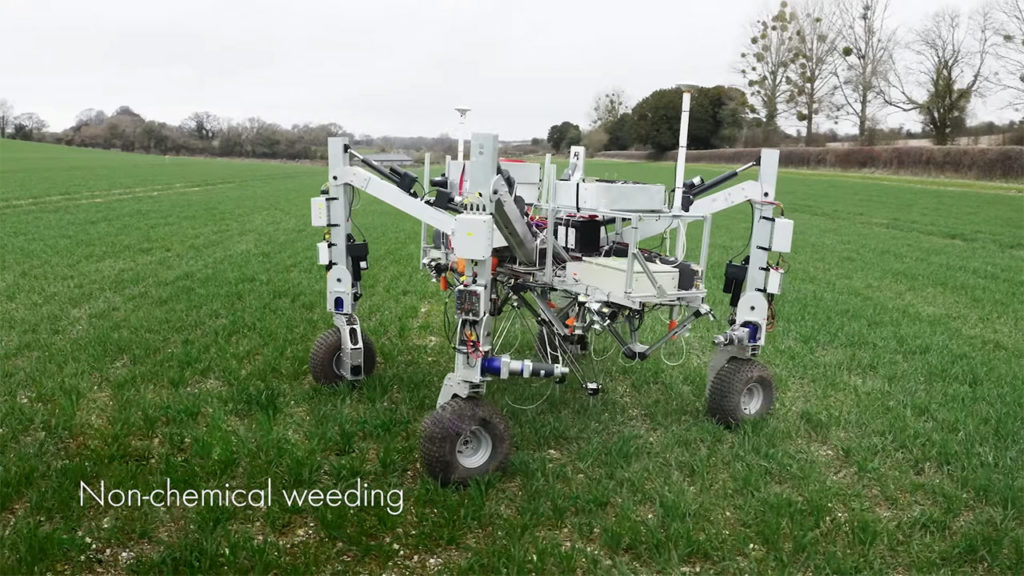 New agricultural robots kill individual weeds with electricity.