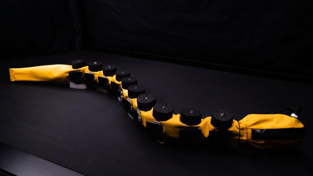 AgnathaX contains a series of motors that actuate the robot's ten segments to move in waves.
