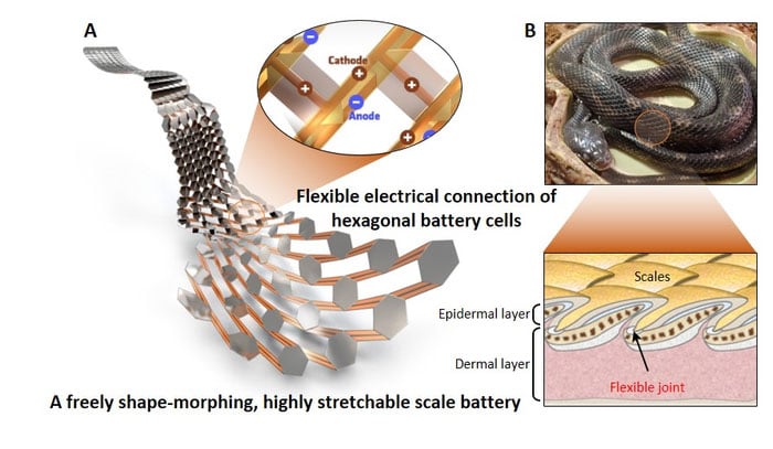 KIMM research team developed a battery with high safety and stretchability by mimicking the design of the scales and flexible joints found in the structure of snake scales.