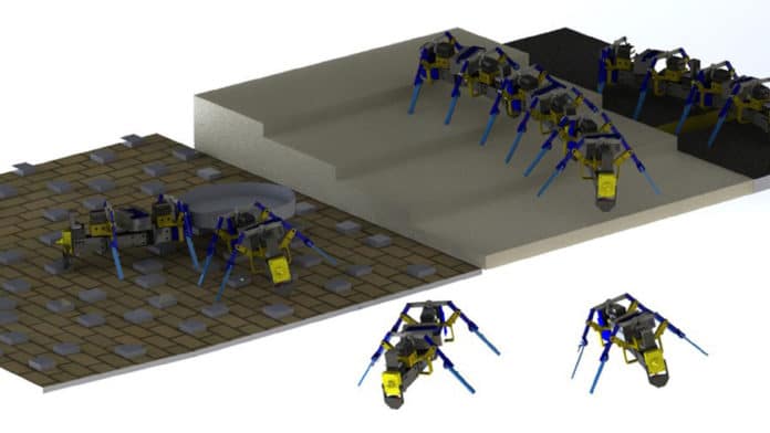Ant-inspired four-legged swarm robots traverse complex terrain.
