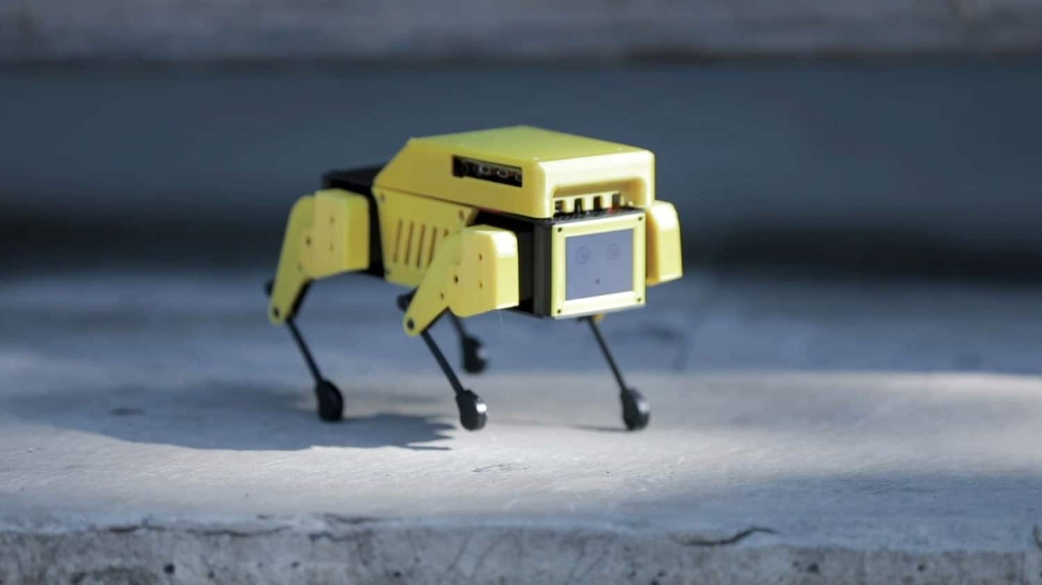 Mini Pupper, an open-source robot dog powered by Raspberry Pi.