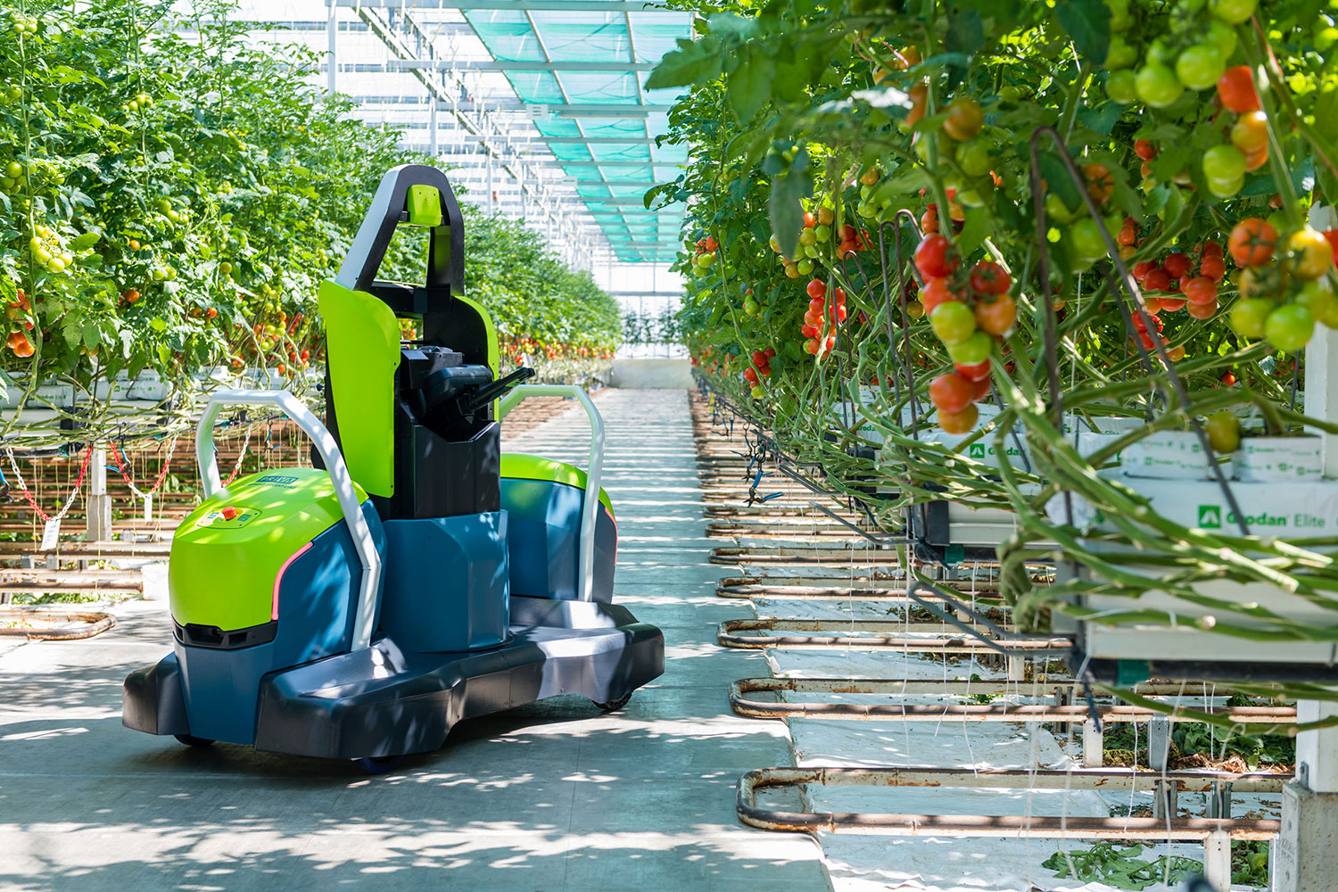 Priva’s fully automated leaf-cutting robot for tomato can operate 24/7.