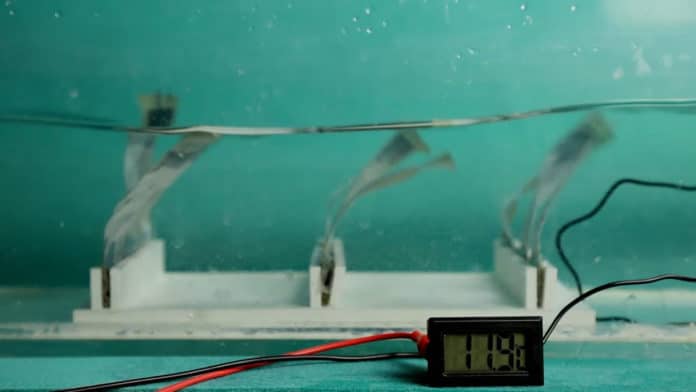 Flexible, seaweed-like generator for harvesting wave energy.