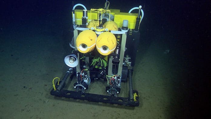 Autonomous deep-sea rover provides new insight into life on the abyssal seafloor.