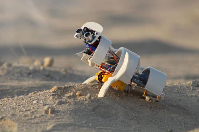 A’seedbot, a mini autonomous robot that cultivates the desert.