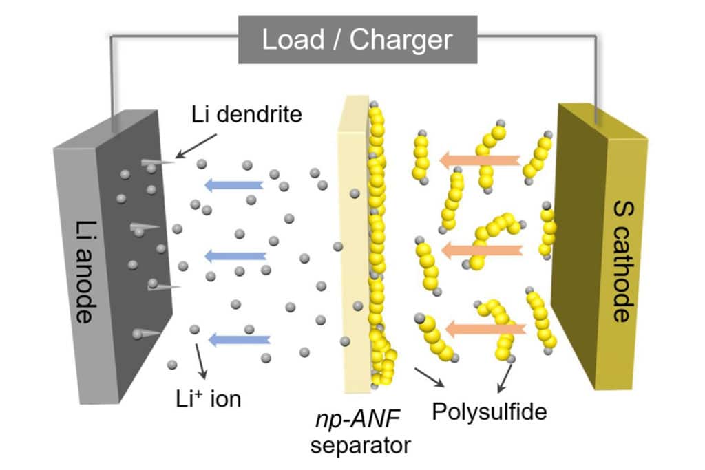 A diagram of the battery shows how lithium ions can return to the lithium electrode while the lithium polysulfides can’t get through the membrane separating the electrodes. In addition, spiky dendrites growing from the lithium electrode can’t short the battery by piercing the membrane and reaching the sulfur electrode.