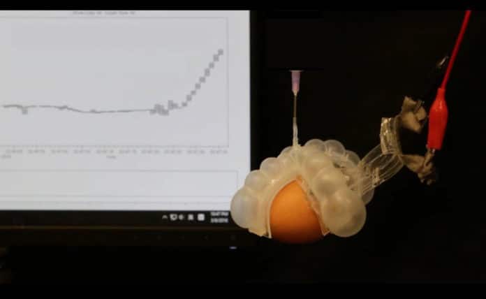 Soft, stretchable thermometer finds use in soft robots, smart clothing