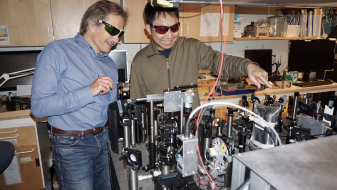 Tönu Pullerits and Kaibo Zheng by the laser spectroscopy setup used in the study.
