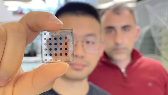 ICFO researcher Yongjie Wang holding the device in his hand with ICREA Prof. at ICFO Gerasimos Konstantatos in the back.