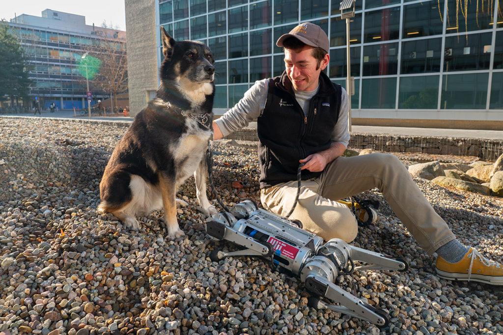 The four-legged robot can adapt to unstable terrain like gravel.