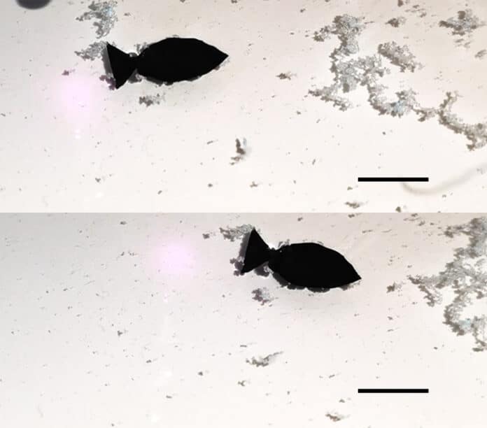 A light-activated fish-shaped robot collects microplastics as it swims.