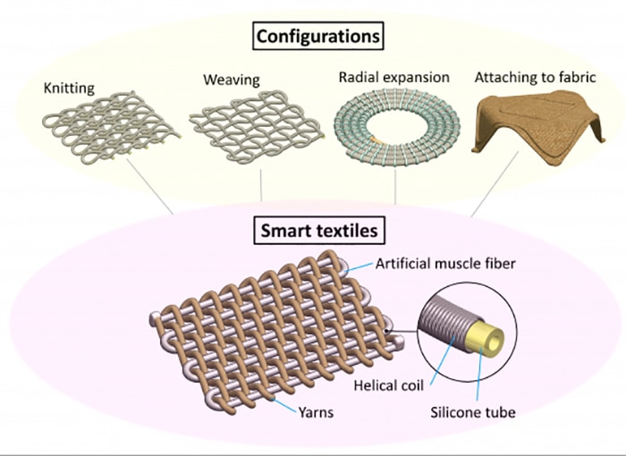 In a paper published in Scientific Reports, the UNSW team showed different approaches to create smart textiles from artificial muscle fibres.