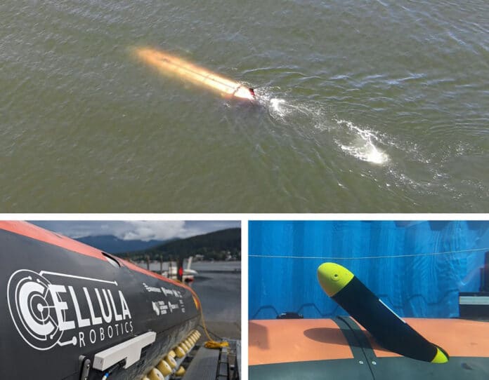 Advanced micro-AUV technology for stealth underwater missions.