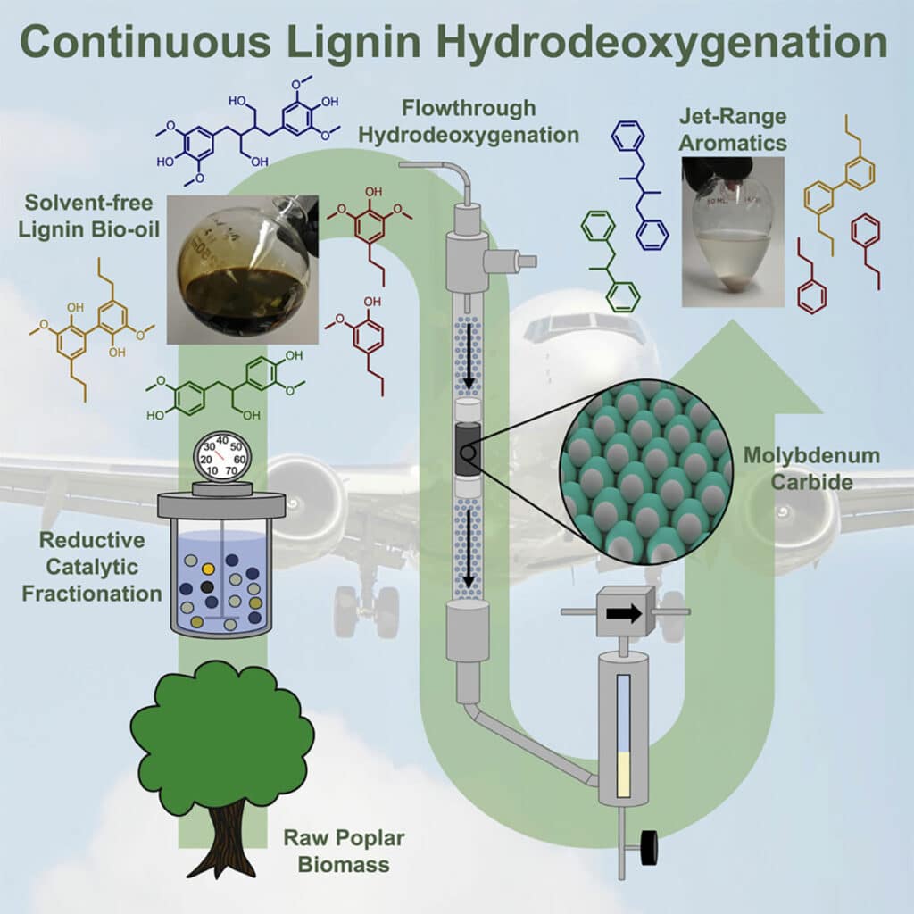Graphical representation of continuous lignin hydrodeoxygenation.