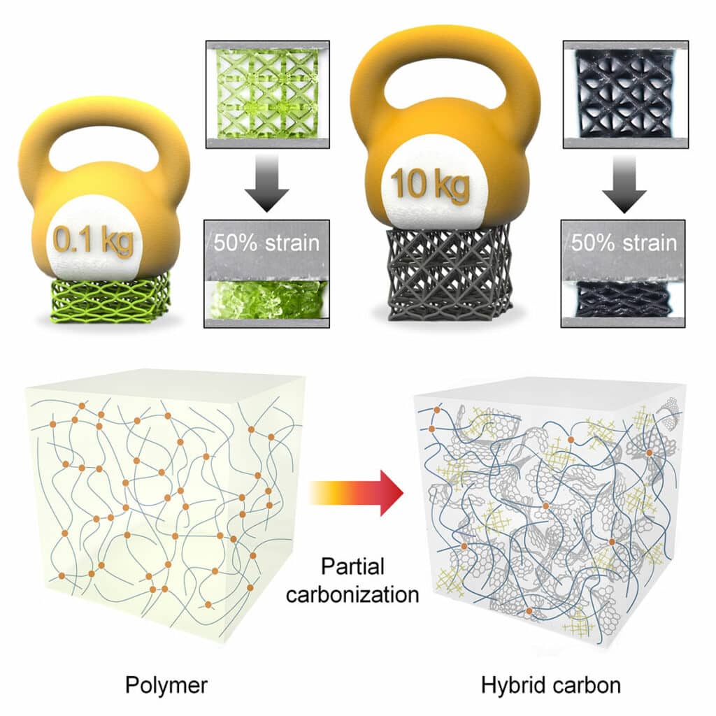The CityU team developed a low-cost, facile way to fabricate biocompatible 3D-architected carbon composites that are lightweight, strong, and deformable to any size and shape.
