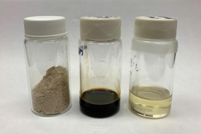 Containers are of poplar biomass (left), the extracted lignin oil, and the resulting sustainable aviation fuel.