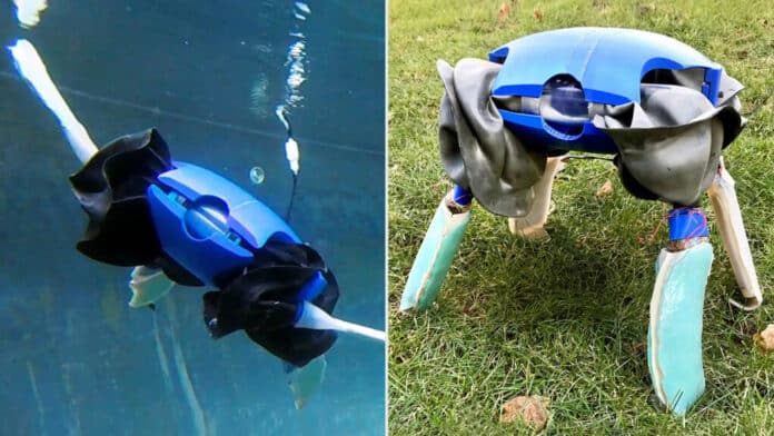 Yale researchers created an amphibious robotic turtle capable of moving on land and water.