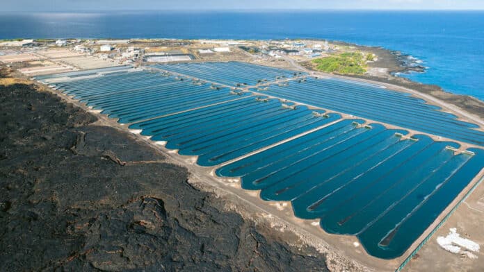 Microalgae cultivation facility along the Kona Coast of Hawaii’s Big Island.