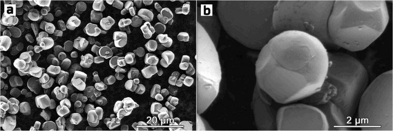 These scanning electron microscopy images at different magnifications reveal the spherelike morphology of the powder particles of NMC622. 