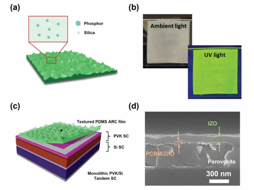 (a) A schematic of the PDMS layer containing SGA phosphors and SiO2 nanoparticles, (b) photographs of the PDMS layer with SGA phosphors and SiO2 nanoparticles under ambient light and UV light (λ = 365 nm), (c) a schematic of perovskite/Si tandem solar cell with the PDMS layer containing SGA phosphors and SiO2 nanoparticles, and (d) a cross-sectional SEM image of the perovskite–Si solar cell.