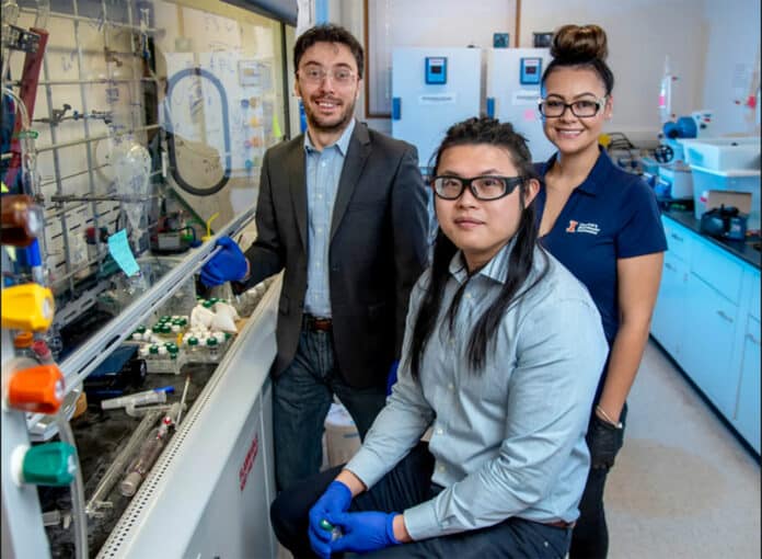 Chemical and biomolecular engineering professor Damien Guironnet and graduate students Vanessa DaSilva and Nicholas Wang demonstrated a new scalable process that can upcycle plastics.