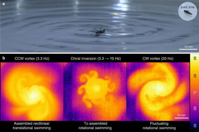a. The inset shows the free surface of water in the absence of the magnetic field. b. CNTY robots and controllability of the vortex directions in the collective swimming modes.