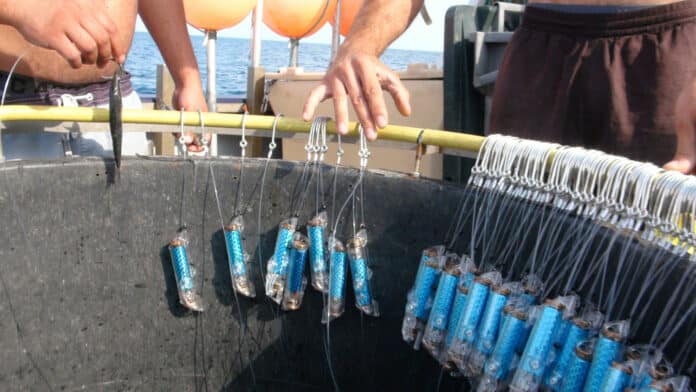 SharkGuard reduces bycatch of endangered sharks.