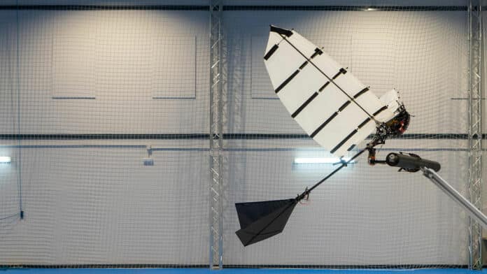 EPFL researchers developed a flapping-wing robot that can land autonomously like a bird.