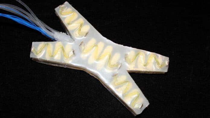 Researchers installed SHeaLDS in a soft robot resembling a four-legged starfish and equipped with feedback control.